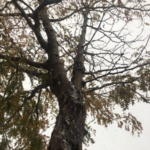 Meet your Posher, Lia